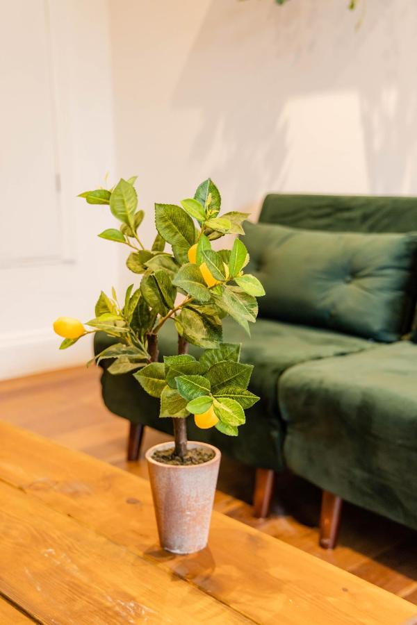 2Cq*Morden Studio Flat *Moments Away From Brighton Seafront Appartement Buitenkant foto